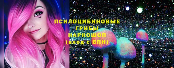 амф Карпинск