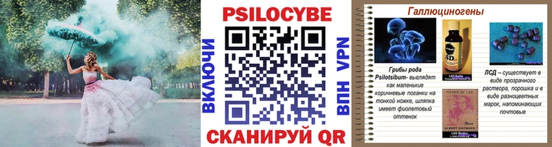 Купить где  Томмот  Псилоцибиновые грибы Psilocybine cubensis 