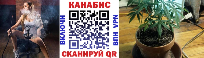 Шишки марихуана MAZAR  Купить закладки  Томмот 